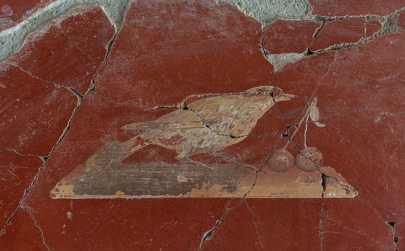 800px-Bird_and_cherries_fresco_Oplontis.jpg (800×495)