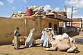 Birqash Camel Market سوق الجمال - برقاش