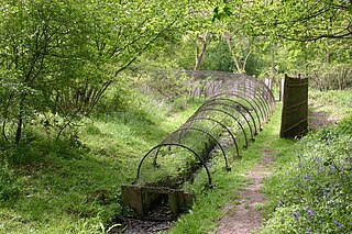 <span class="mw-page-title-main">Boarstall Duck Decoy</span> Waterfowl trap in England