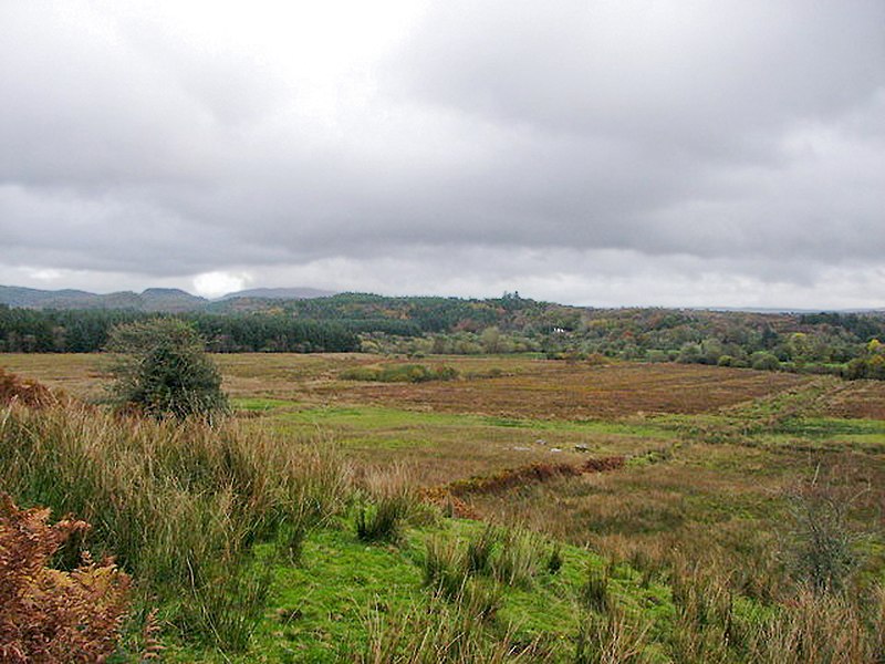 File:Bogland near Killerry wood - geograph.org.uk - 1638538.jpg