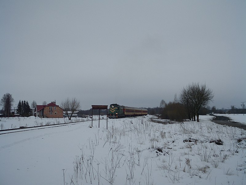 File:Borki Siedleckie train stop.JPG