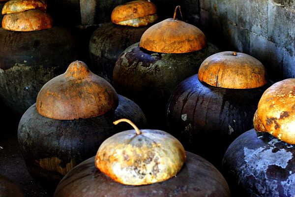 Traditional burnay jars containing fermenting bagoong in Ilocos Norte, Philippines