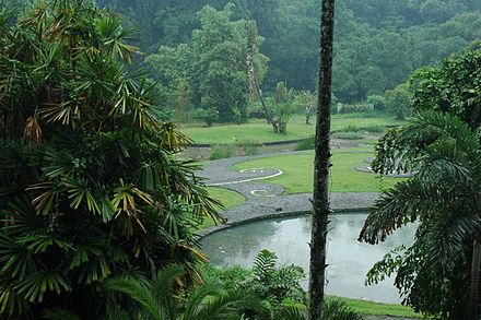 In the Botanical Garden on a typical rainy day