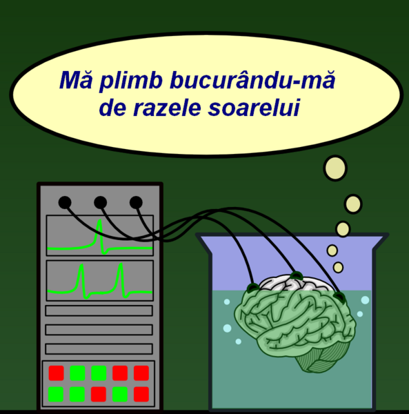 File:Brain in a vat (ro) v2.png