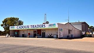 <span class="mw-page-title-main">Cadoux, Western Australia</span> Town in Western Australia