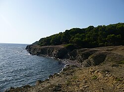 A beach of Licosa Calettalicosa.jpg