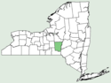 Campanula patula NY-dist-map.png