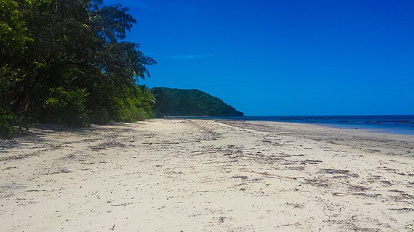 Cape Tribulation