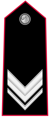 Carabinieri-OR-8.svg