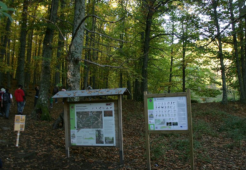 File:Castañar de El Tiemblo (30 de octubre de 2016, Reserva natural del Valle de Iruelas, El Tiemblo) 01.jpg