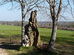 Mégalithe de la Malroussie.