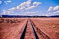 Central Australia Railway line into Alice Springs, 1958 (A Attwood -- LANT ph0815-0139).jpg