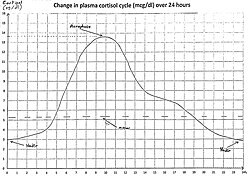 Change in plasma cortisol cycle (mcg/dl) over 24 hours Change in plasma cortisol cycle over 24 hours.jpg