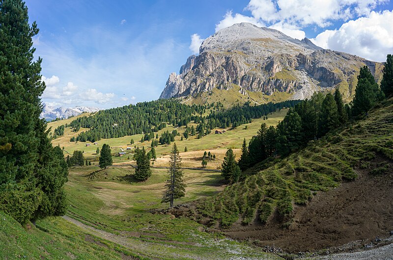 File:Chemun cun Sasplat Mont de Sëuc.jpg