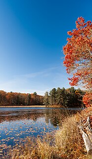 Chenango Valley State Park