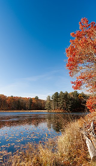 <span class="mw-page-title-main">Chenango Valley State Park</span>