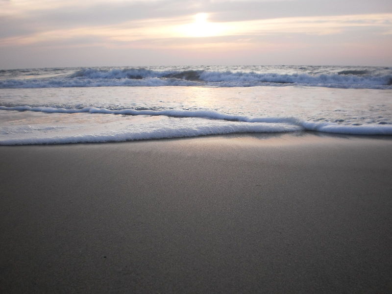 File:Cherai Beach - Sea Shore38.JPG