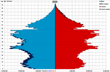 China population sex by age on Nov, 1st, 2020.png