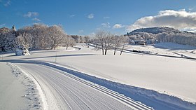 Widok z lotu ptaka na stację.