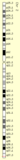 Human chromosome 2, including PRR21's position at 2q37.3. Chromosome 2 PPR21.png