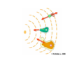 Chemotaxis – Konzentrationsgradient