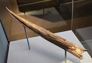 <span class="mw-page-title-main">Clacton Spear</span> Prehistoric wooden spear tip