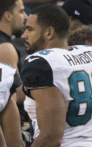 <span class="mw-page-title-main">Clay Harbor</span> American football player (born 1987)