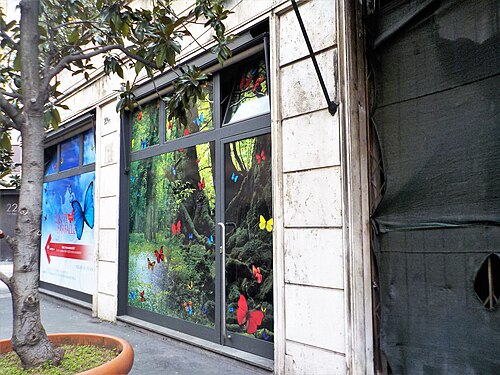 Closed shop with decorated windows in Rome