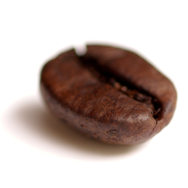 File:Coffee bean transparent.png