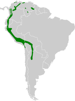 Colibri coruscans map.svg