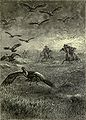 Gauchos lassoing a condor (illustration 1895)