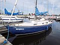 Contessa 26