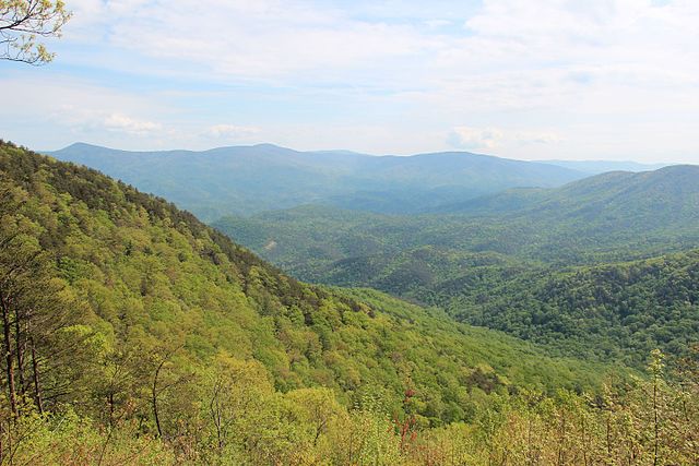 Spring in the Chattahoochee National Forest