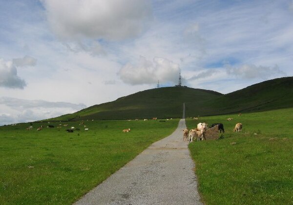 Craigowl Hill, highest of the Sidlaws, in southern Angus