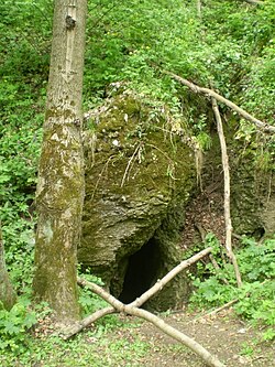A Csókási-barlang bejárata