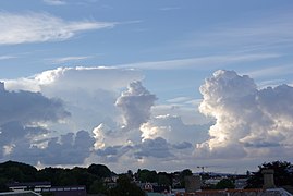 夕立のときに見られるような積乱雲の群れ。左奥にかなとこ雲がある。