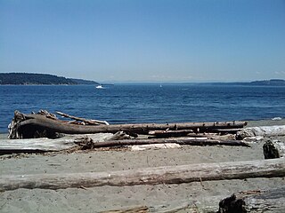 <span class="mw-page-title-main">Dalco Passage</span> Tidal strait in Puget Sound