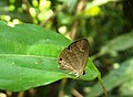 At Kozhikode, Kerala