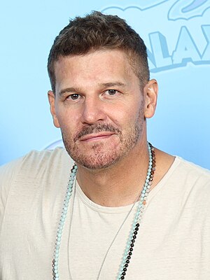 David Boreanaz: US-amerikanischer Schauspieler