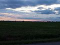 Delta field at sunset 002.jpg