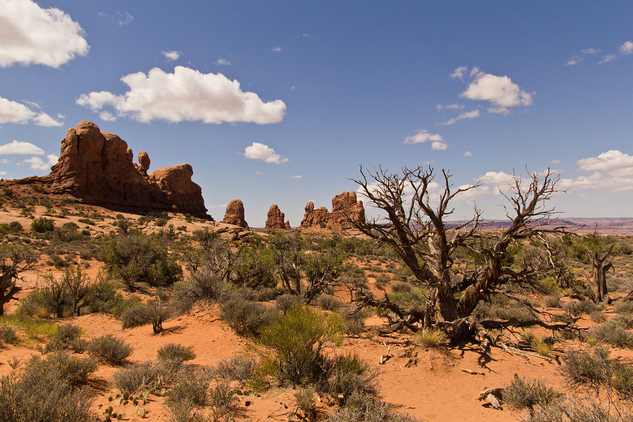 File:Desert Landscap