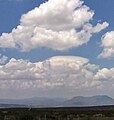 Cumulus humilis pileus