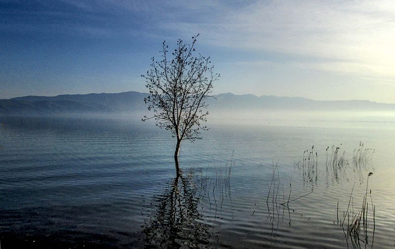 File:Dojran Lake 183.jpg