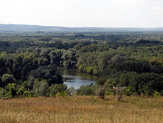 Donets perto de shipilivka4.JPG