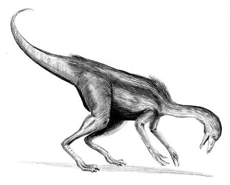 Dromiceiomimus BW.jpg