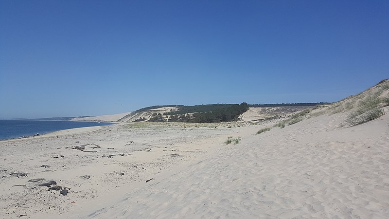 19 mai : La dune du Pyla, dans le PNM du bassin d'Arcachon, par Just Artic.