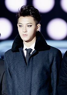 Edison Huang (Tao Huang) at the 16th Mnet Asian Music Awards 01.jpg