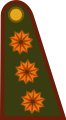 Argentina: General de división.
