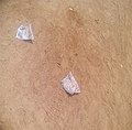 Empty_sachets_on_the_floor