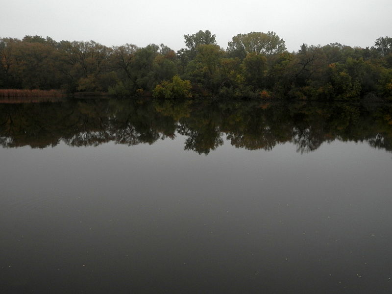 File:Eramosa River and Speed River Confluence - Guelph 02.jpg